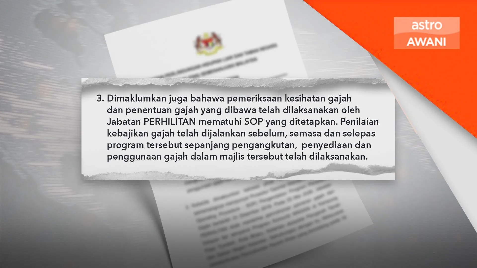 Isu tular guna gajah di majlis: Perhilitan kaji undang-undang, tambah baik SOP