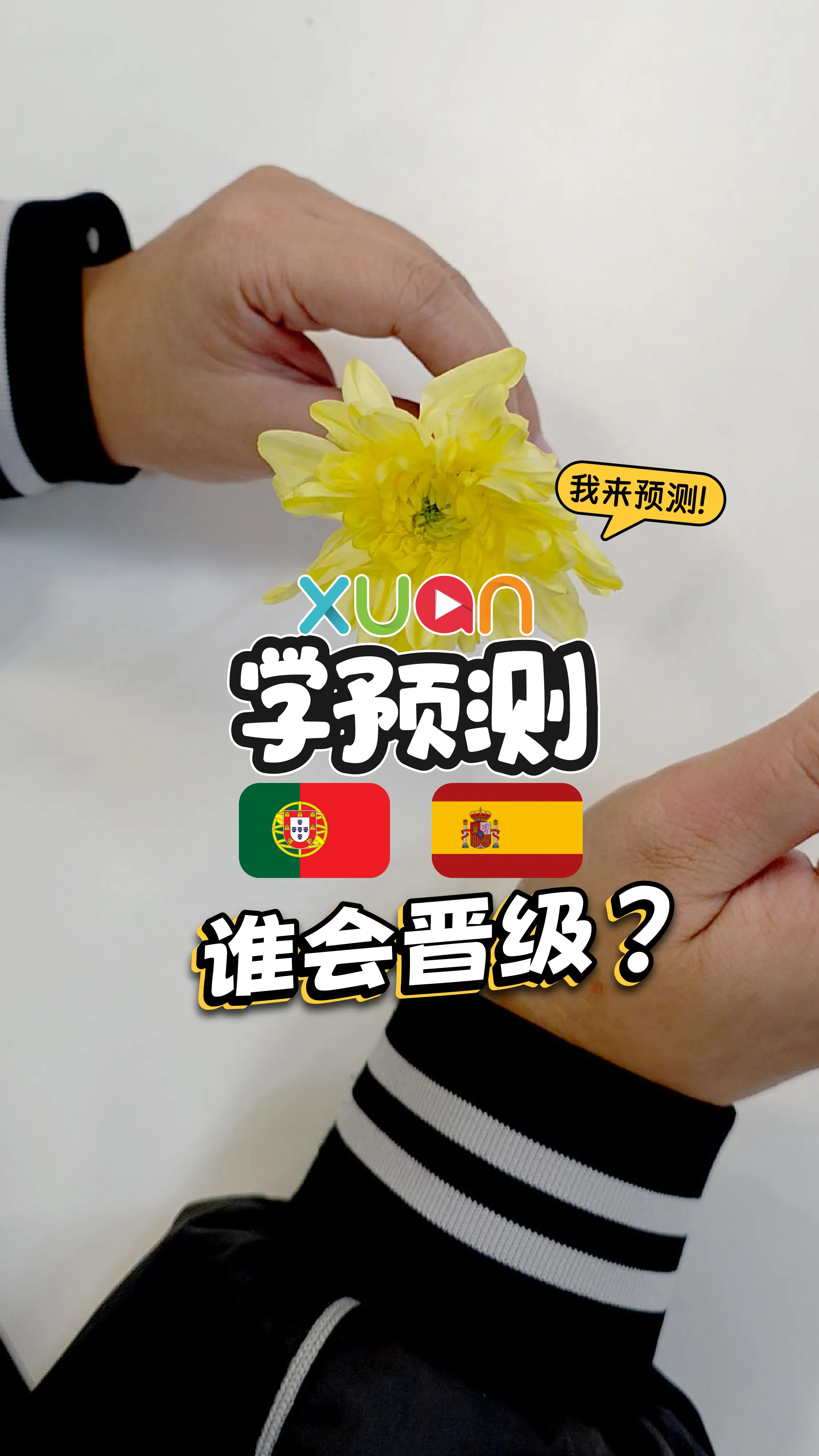掰花瓣来预测：葡萄牙 V.S. 西班牙 的对垒结果【世界杯XUAN学预测】
