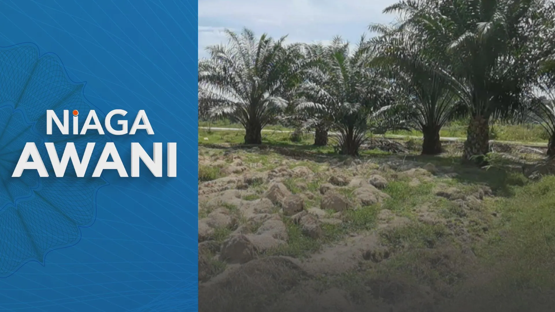 Unjuran harga minyak sawit naik kepada RM4,450 - Kenanga Research