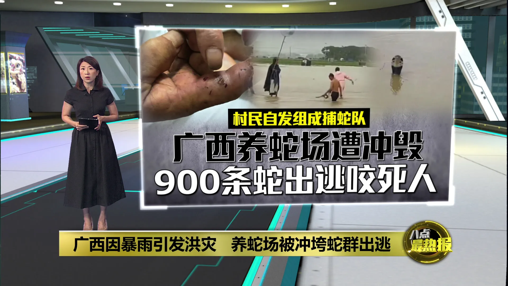 广西因暴雨引发洪灾   900条蛇出逃咬死人