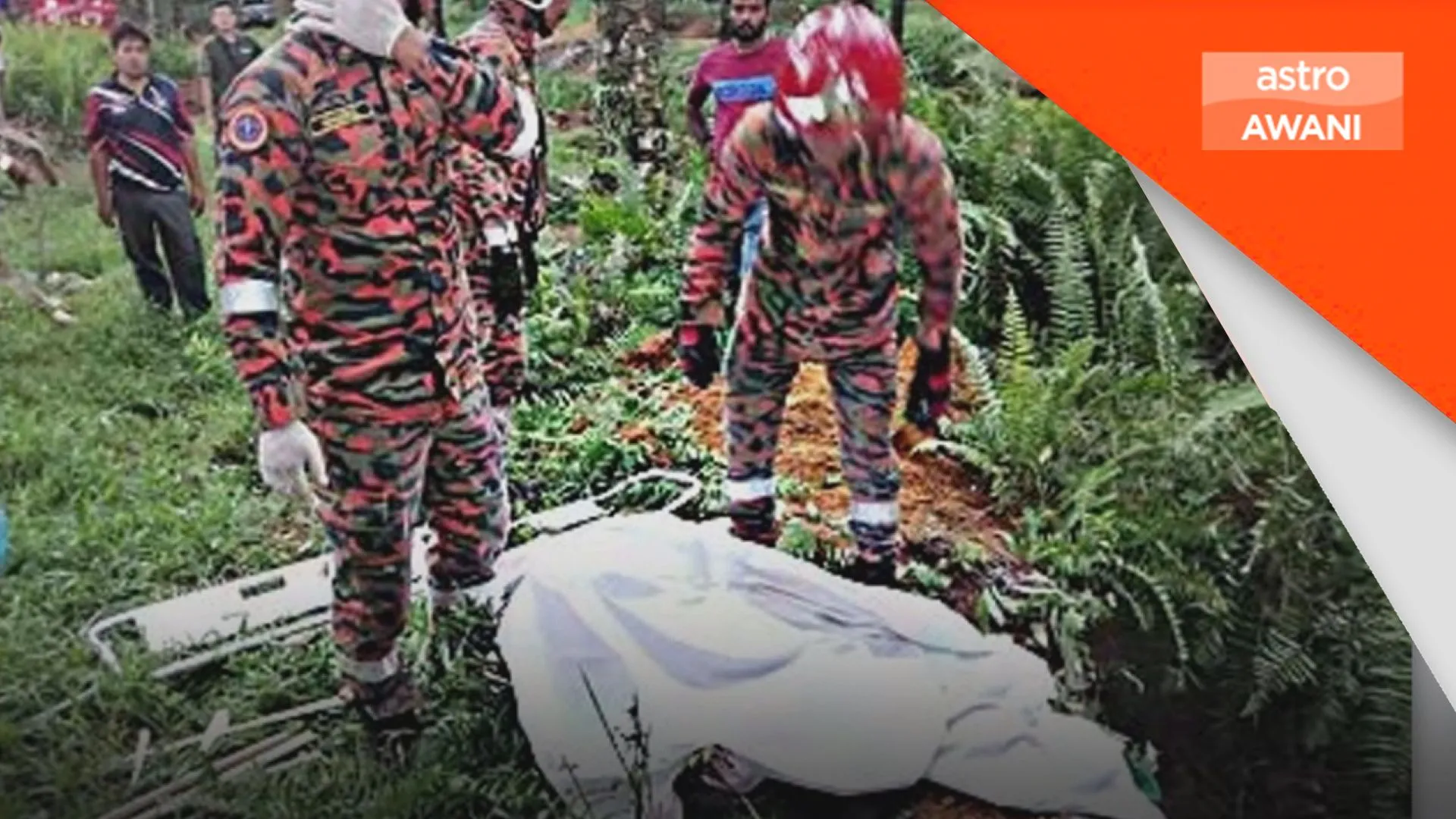 Kemalangan: Wanita maut dihempap pokok kelapa sawit tumbang di Kluang