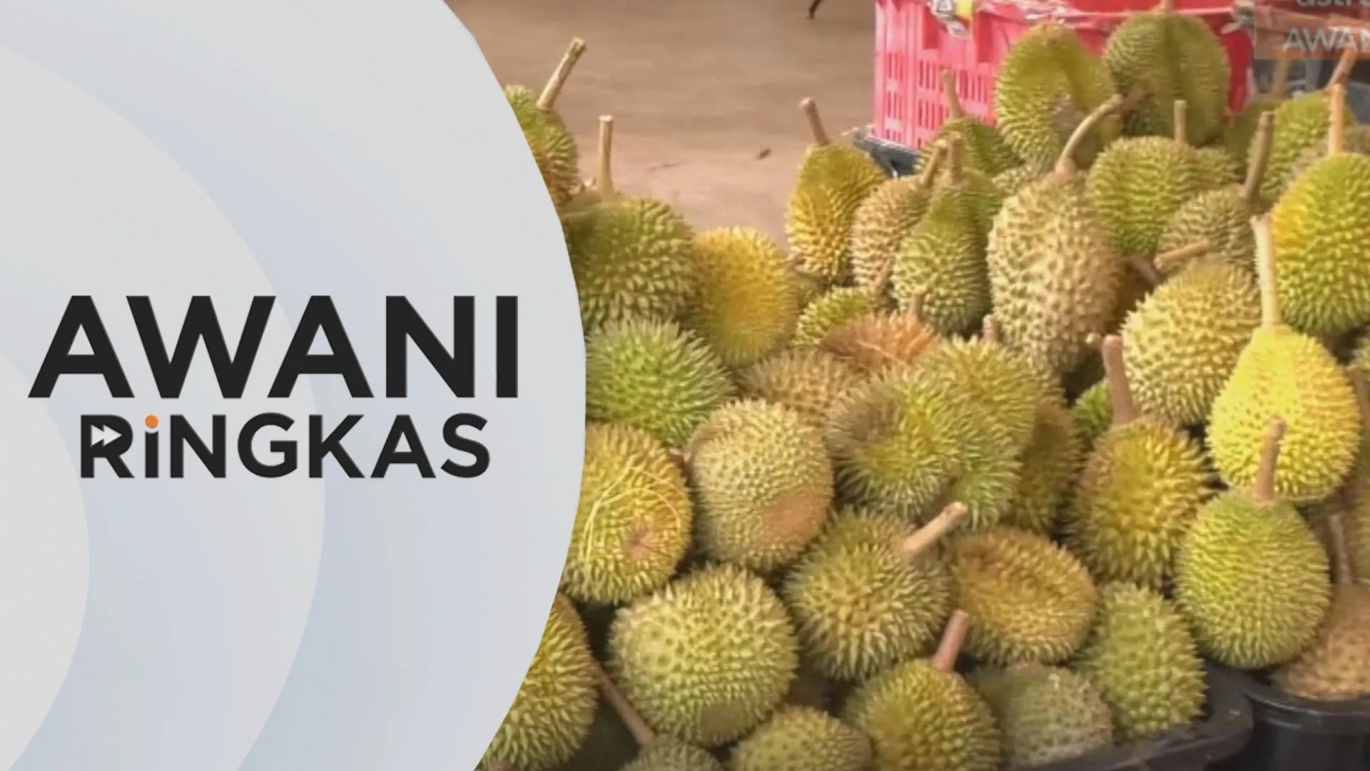 AWANI Ringkas: Isu lambakan durian dibangkitkan