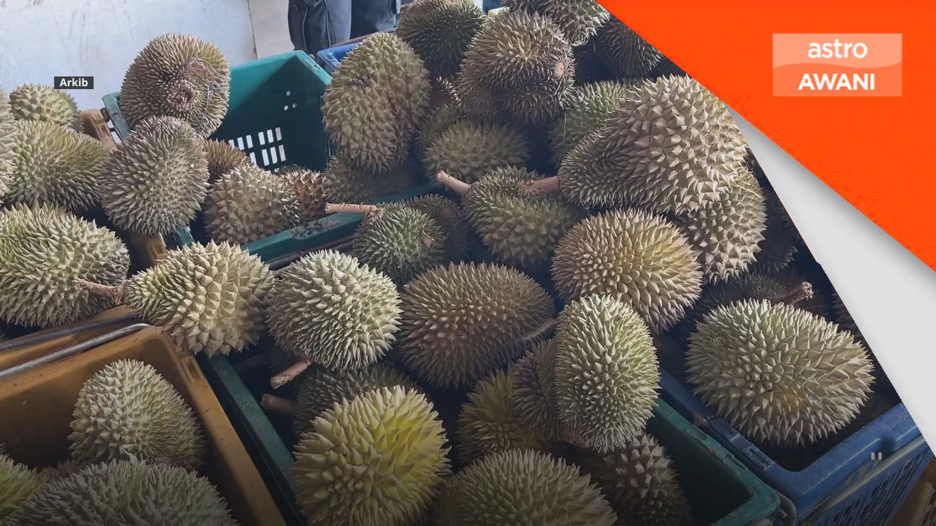 Import durian hanya dua peratus - Foong Hin