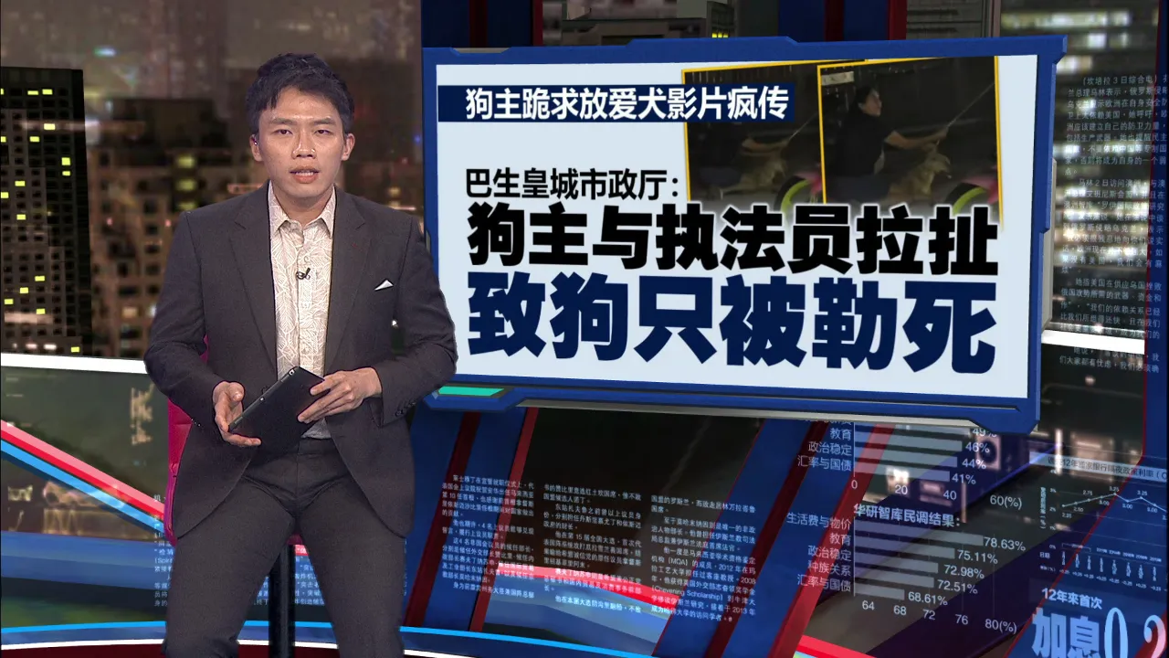 狗主跪求放爱犬影片疯传   警方以“蓄意杀害动物”罪调查