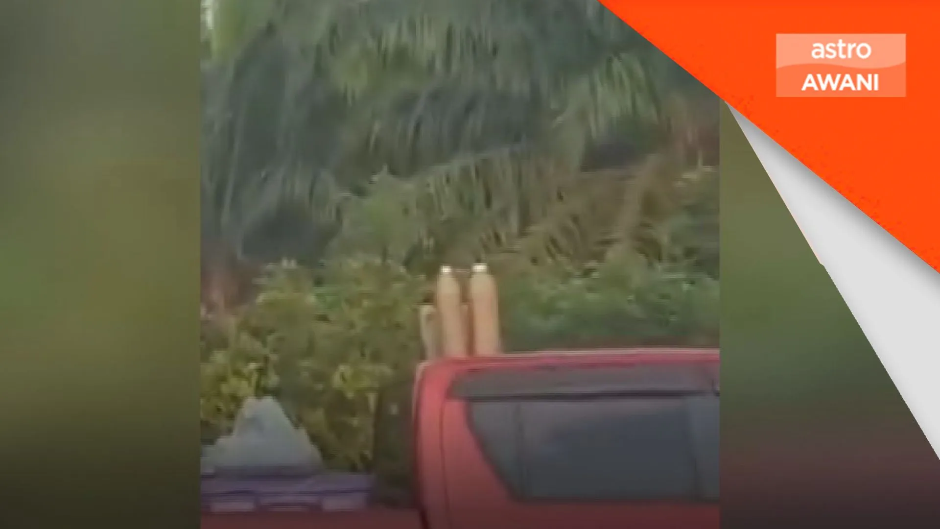 Polis tahan tiga lelaki, siasat jual air ketum di R&R Paka