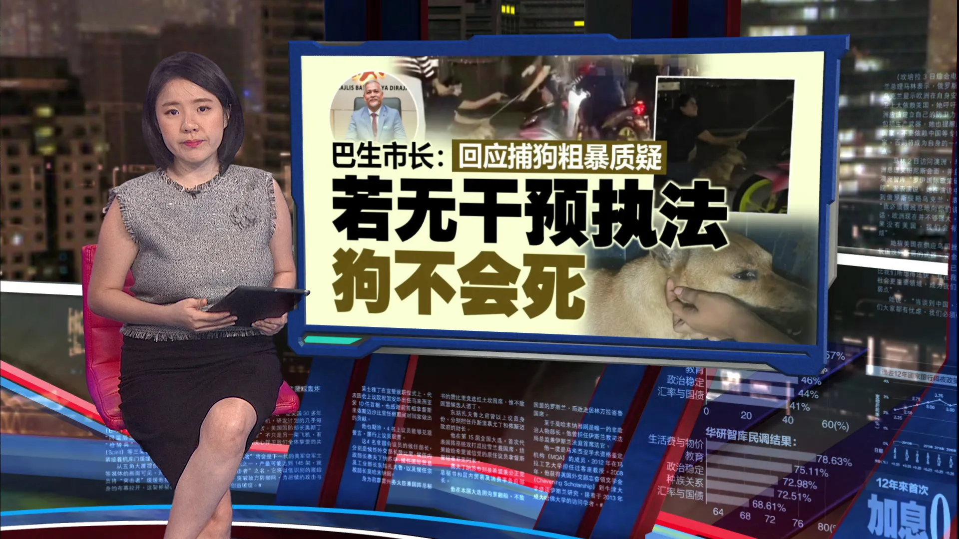 驳捕狗粗暴致死！巴生市长：无人干预狗就不会死