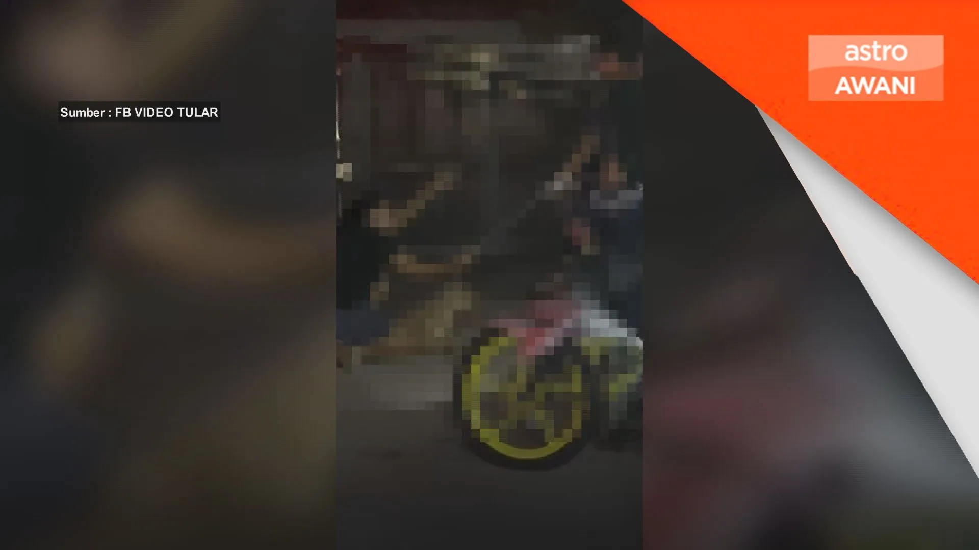 Kes Rocky: Pemilik juga boleh didakwa di bawah akta kebajikan haiwan