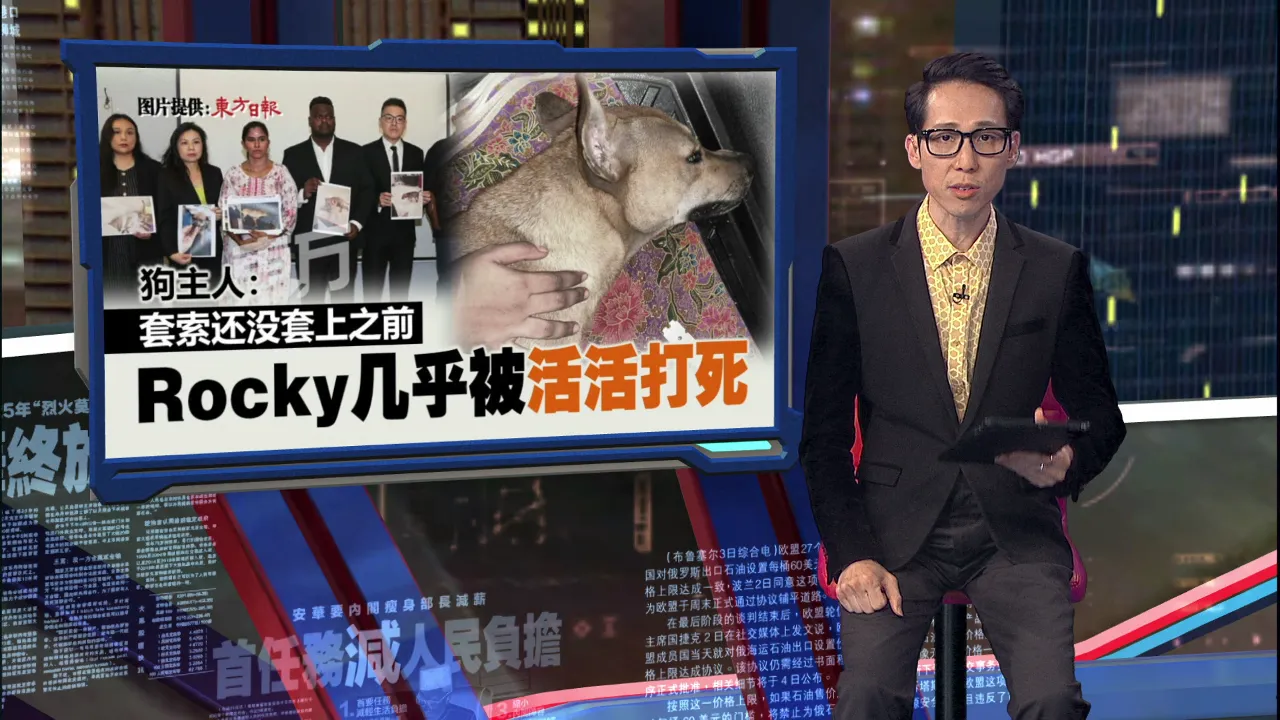 捉狗队被指控反应冷血   “两个一起死更省事”