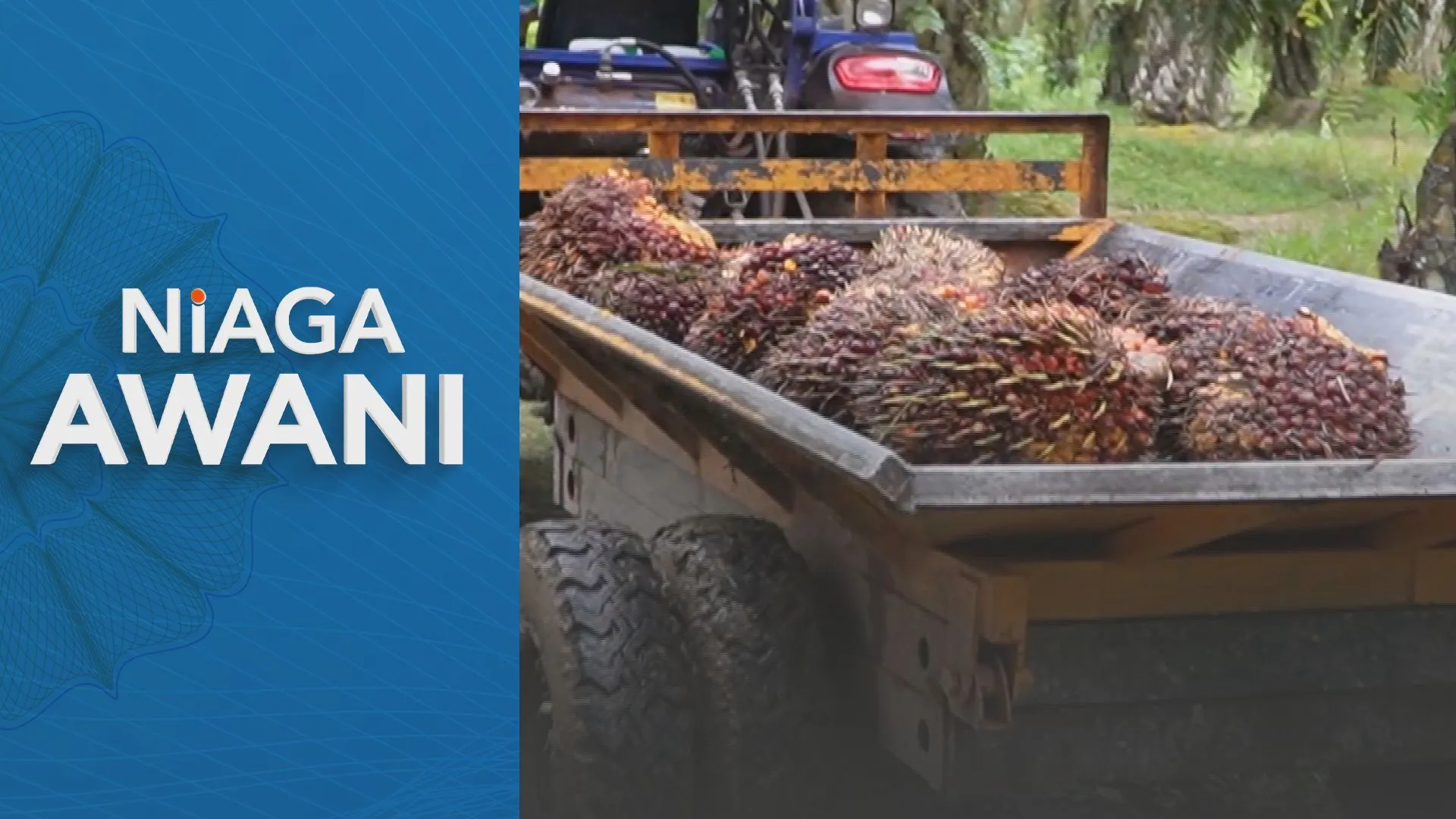Harga Sawit dijangka kekal tinggi hingga 2027