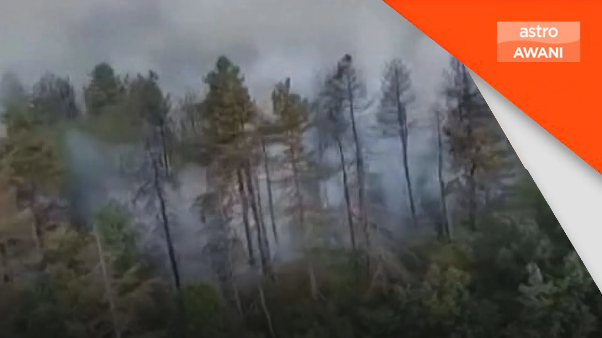 Gelombang haba cetus kebakaran hutan besar di Bulgaria