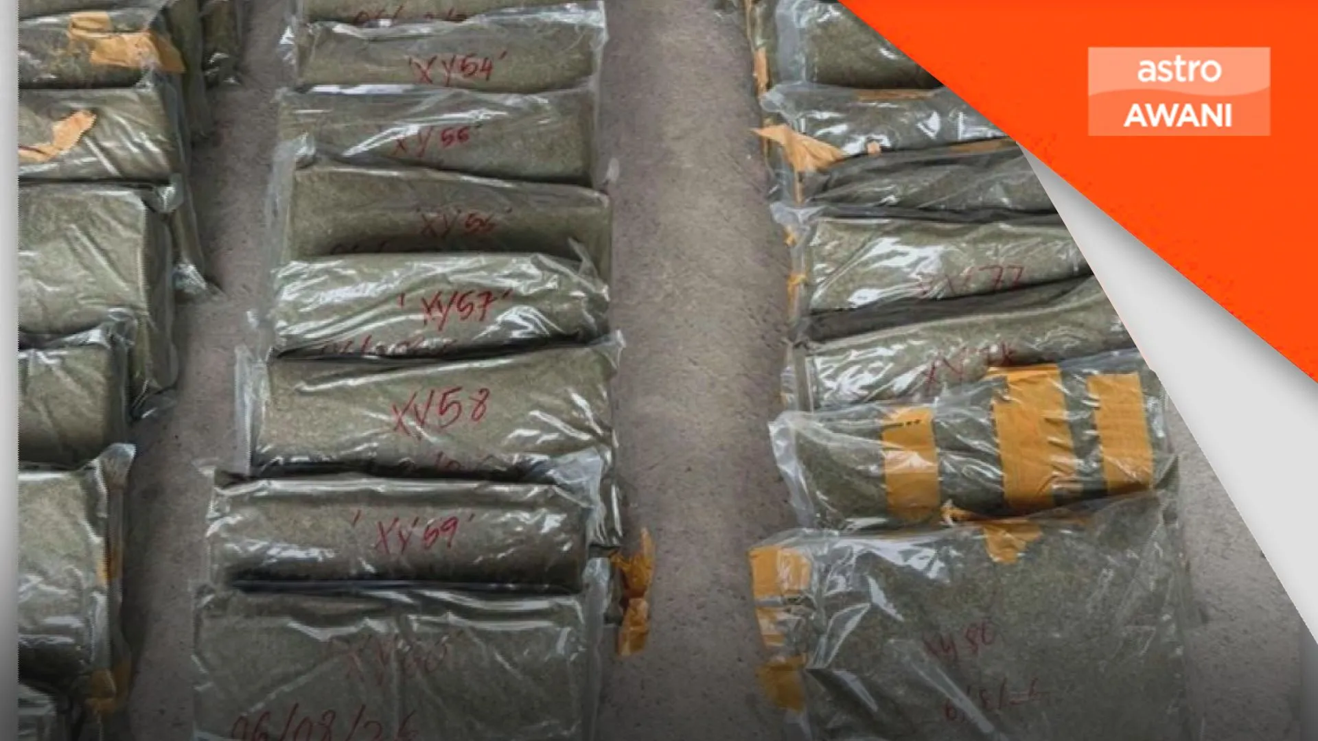 11.45 tan serbuk ketum bernilai RM1.1 juta dirampas di Tuaran