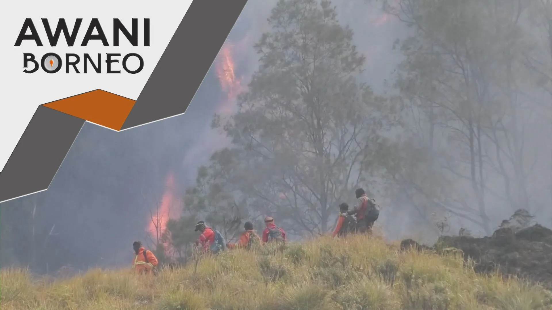 Prabowo arah usaha tangani kebakaran hutan secara maksimum