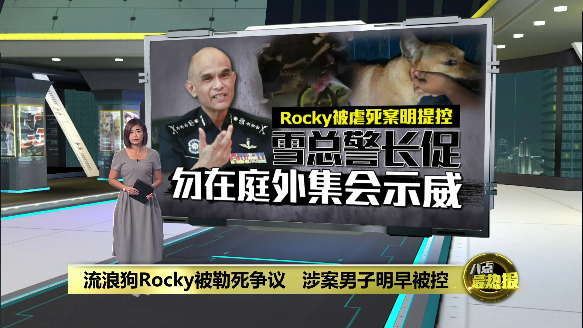 流浪狗Rocky被勒死争议   涉案男子明早被控