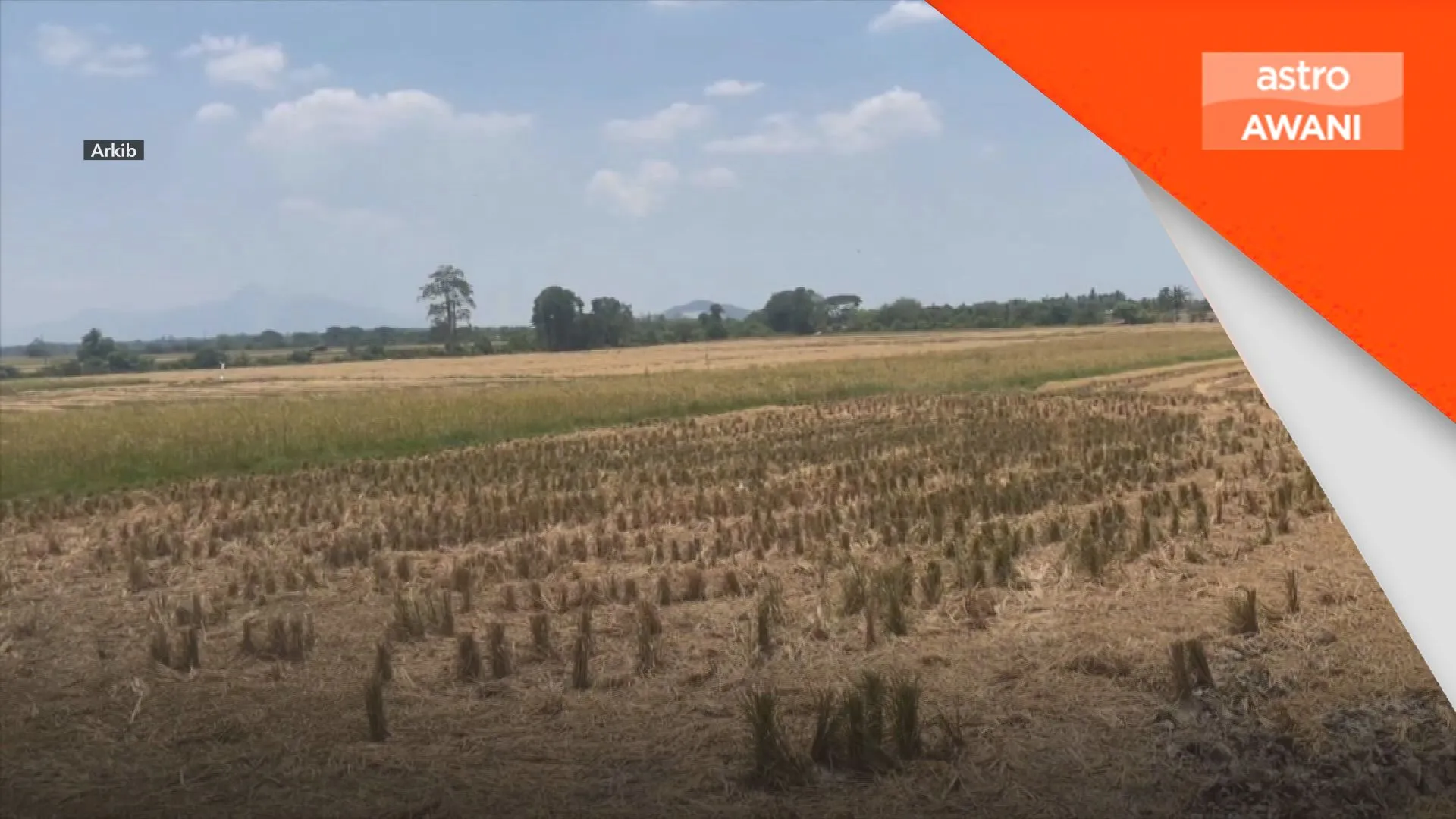 Kesan El Nino kepada hasil sawit tidak serta-merta - Noraini