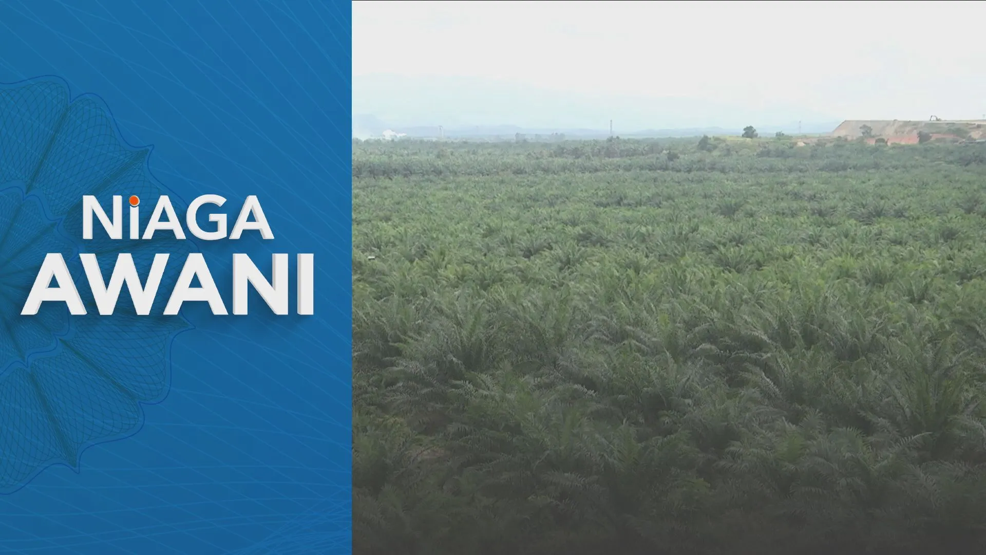 Harga MSM dijangka terus naik, cuaca, biodisel B50 jadi pemangkin
