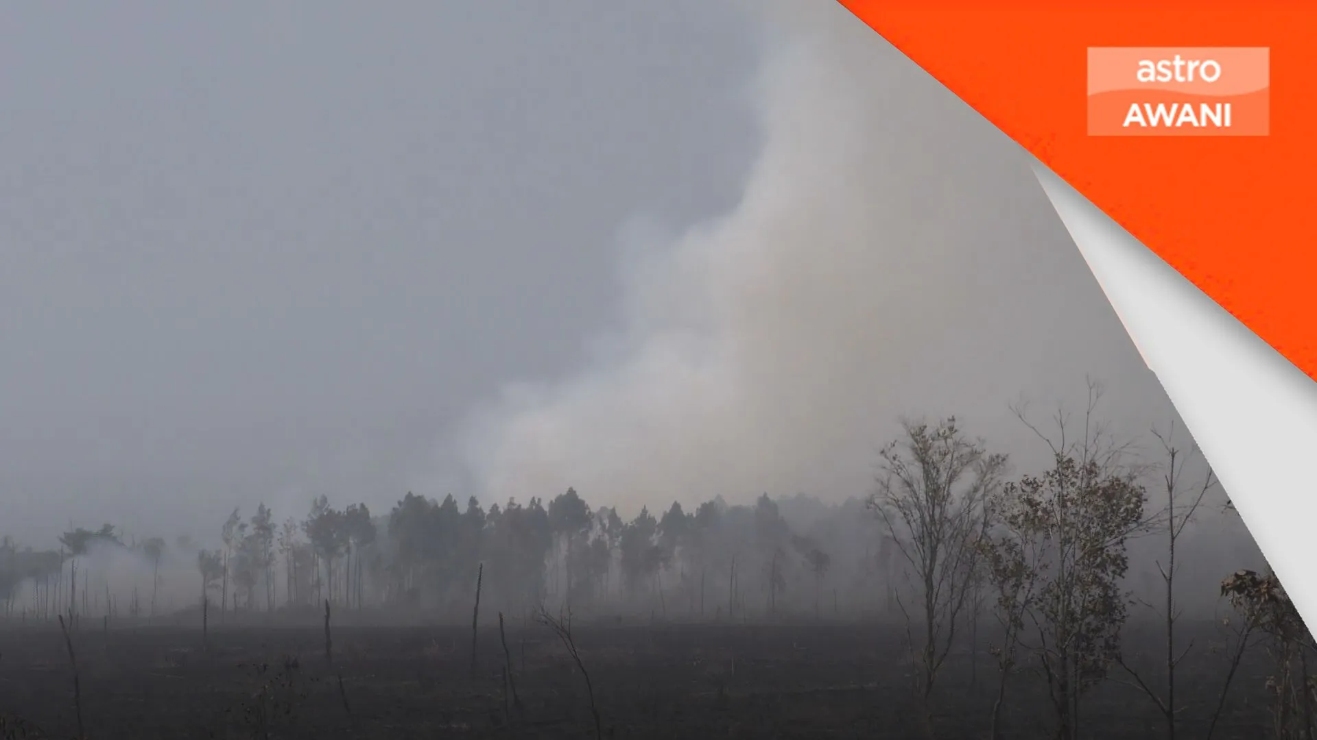 Sumber air terhad, angin kuat sukarkan operasi pemadaman kebakaran hutan tanah gambut