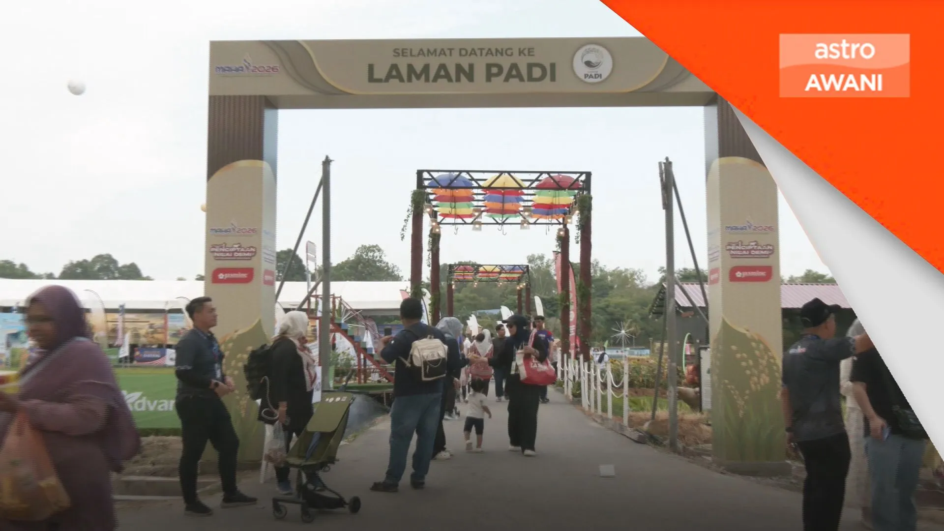 Laman Padi papar ekosistem industri padi dan beras