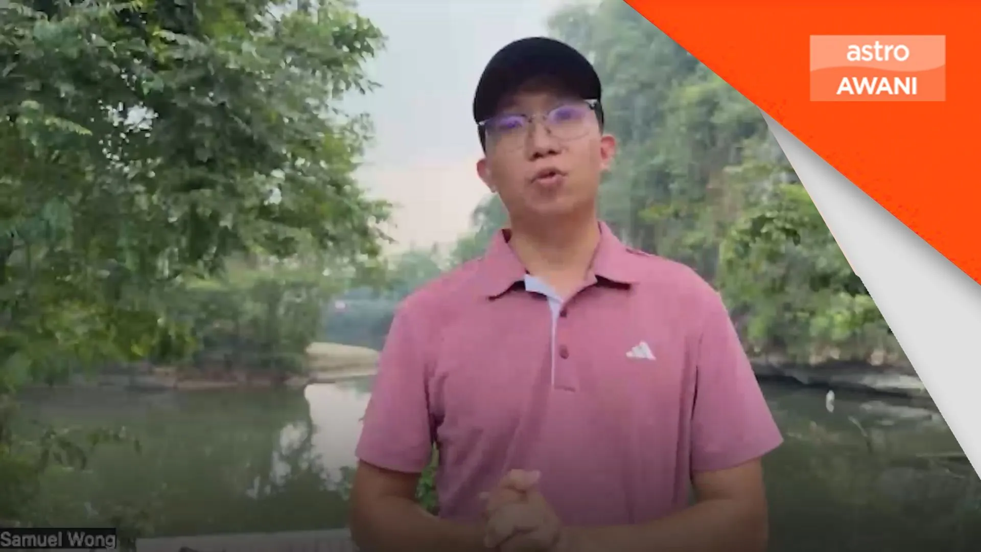 Doktor terkandas dek jerebu, rawatan haiwan tertunda