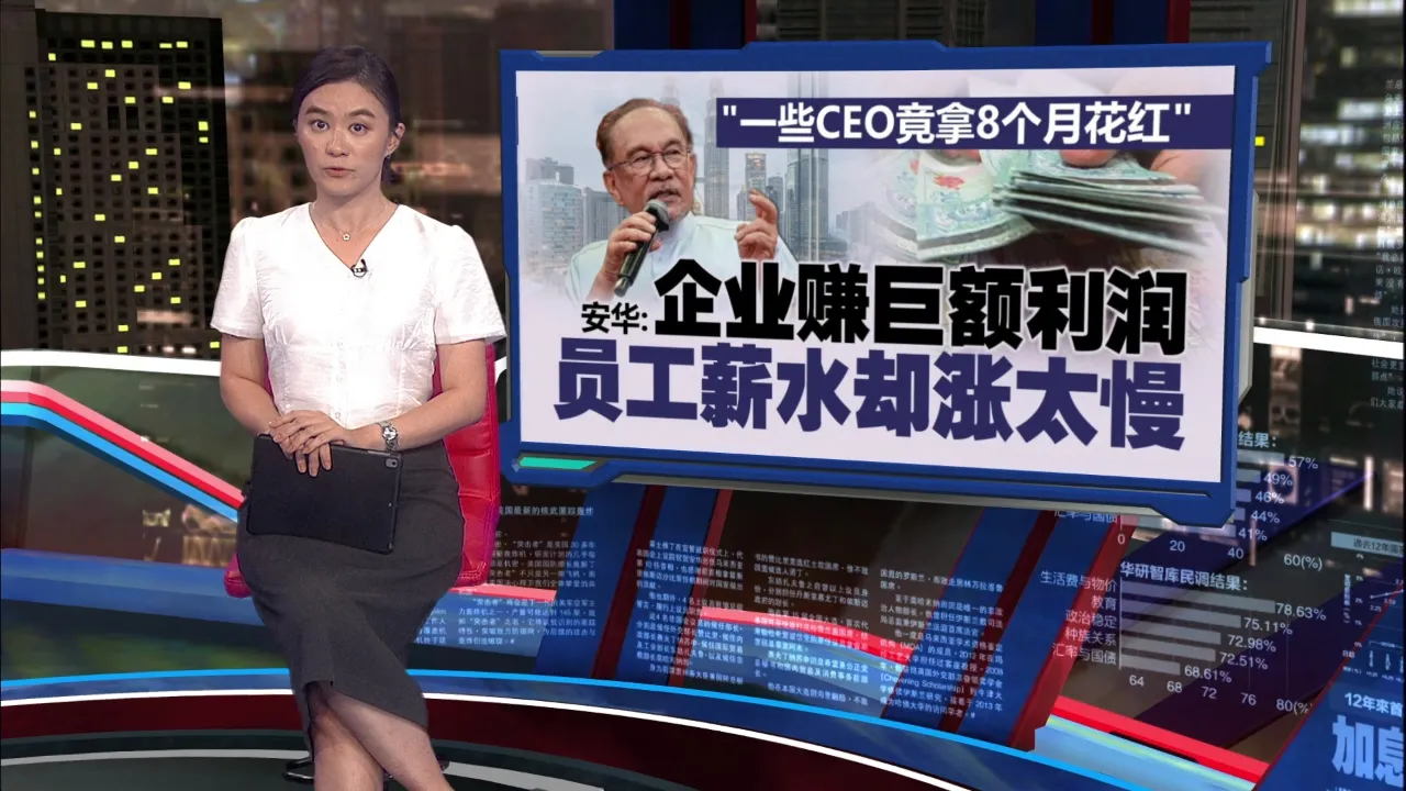 “一些CEO可获8个月花红”   安华: 企业赚巨额利润, 员工薪水却涨太慢