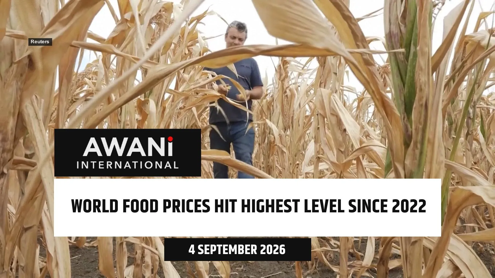 World food prices hit highest level since 2022