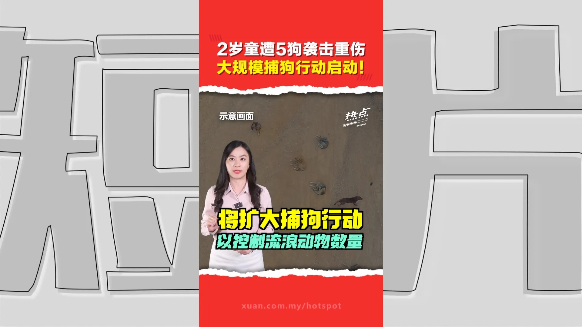 2岁女童惨遭5野狗围攻重伤  柔州政府展开大规模捕狗行动