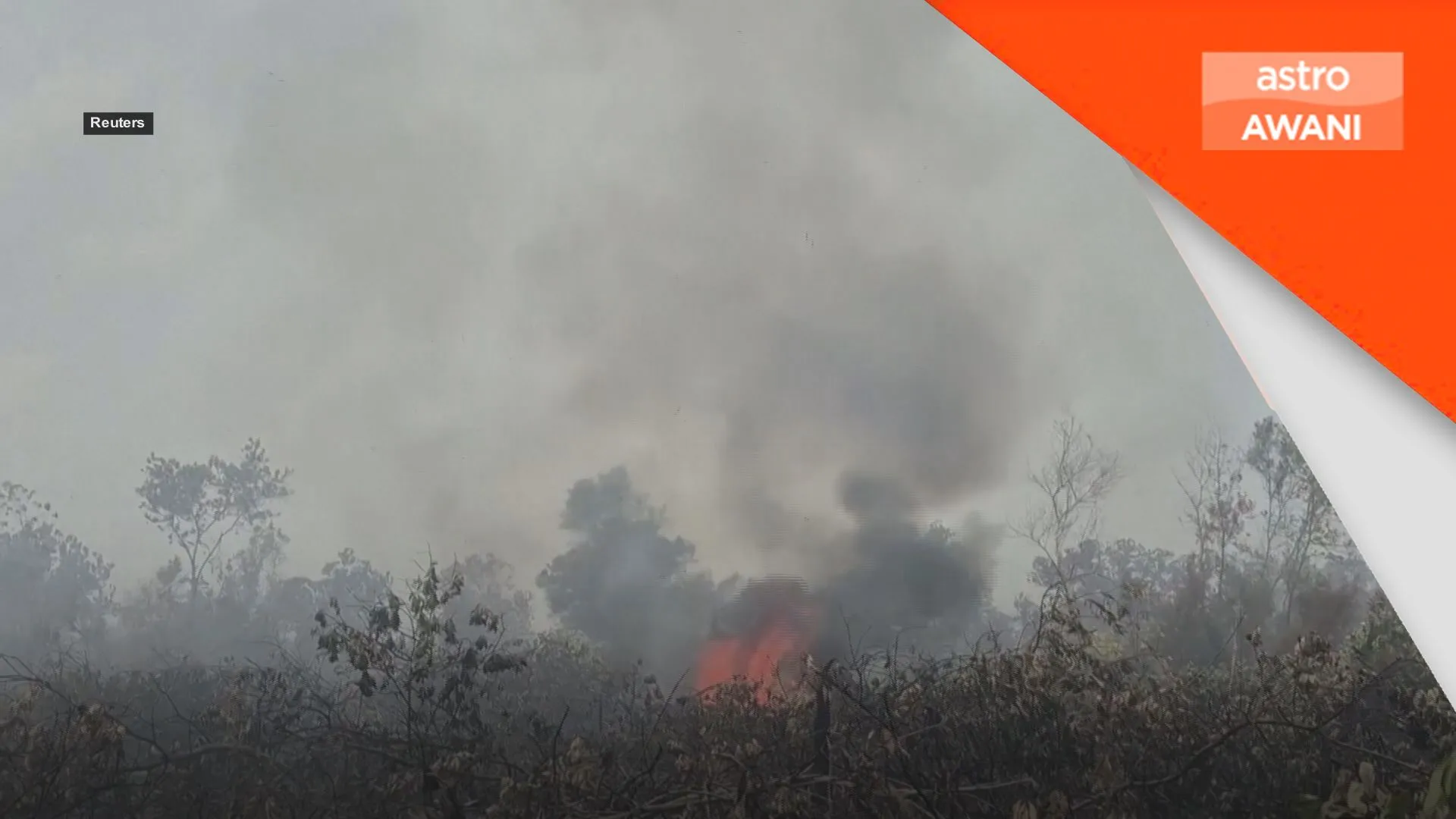 Kebakaran Hutan: Indonesia teliti tawaran bantuan Malaysia