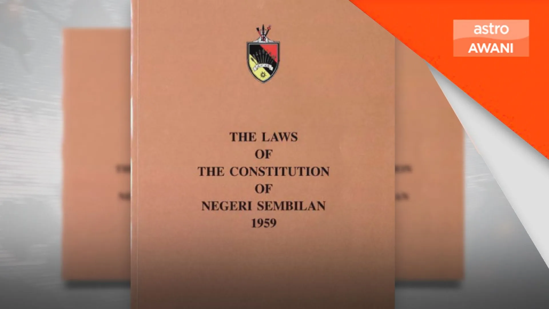 Perkara 10 Undang-Undang Tubuh Kerajaan Negeri Sembilan