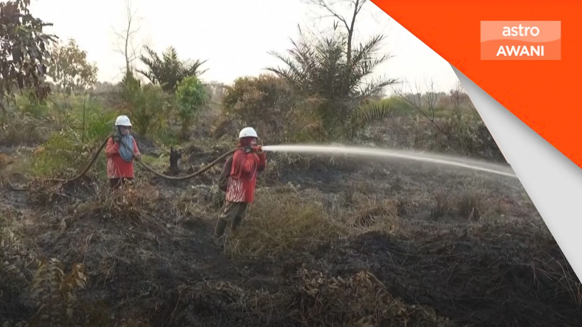 ‘Power of Mama’ giat perangi kebakaran hutan