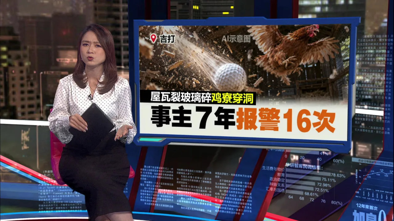 失误球干扰附近居民七年  高尔夫球场赔10万