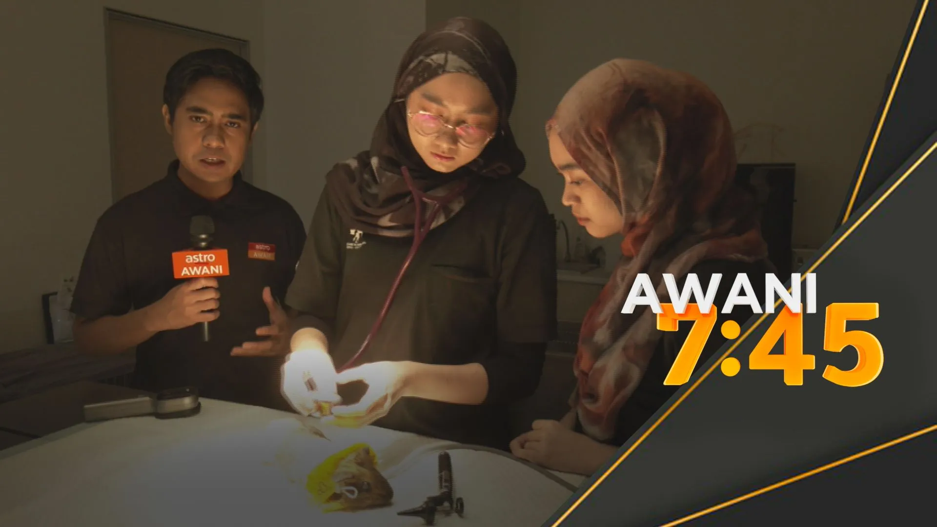 Rujuk AI: Cabaran buat doktor veterinar dan haiwan tersayang