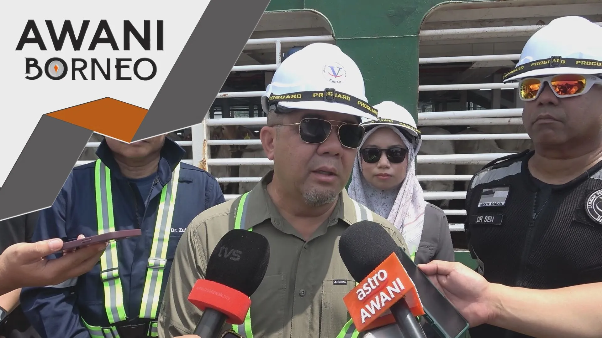 Sabah perkasa program integrasi ternakan lembu