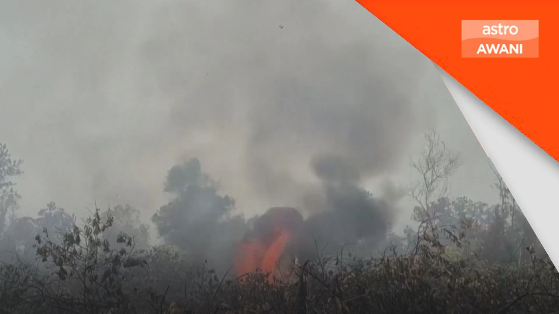 Indonesia kerah 60,000 anggota padam kebakaran hutan