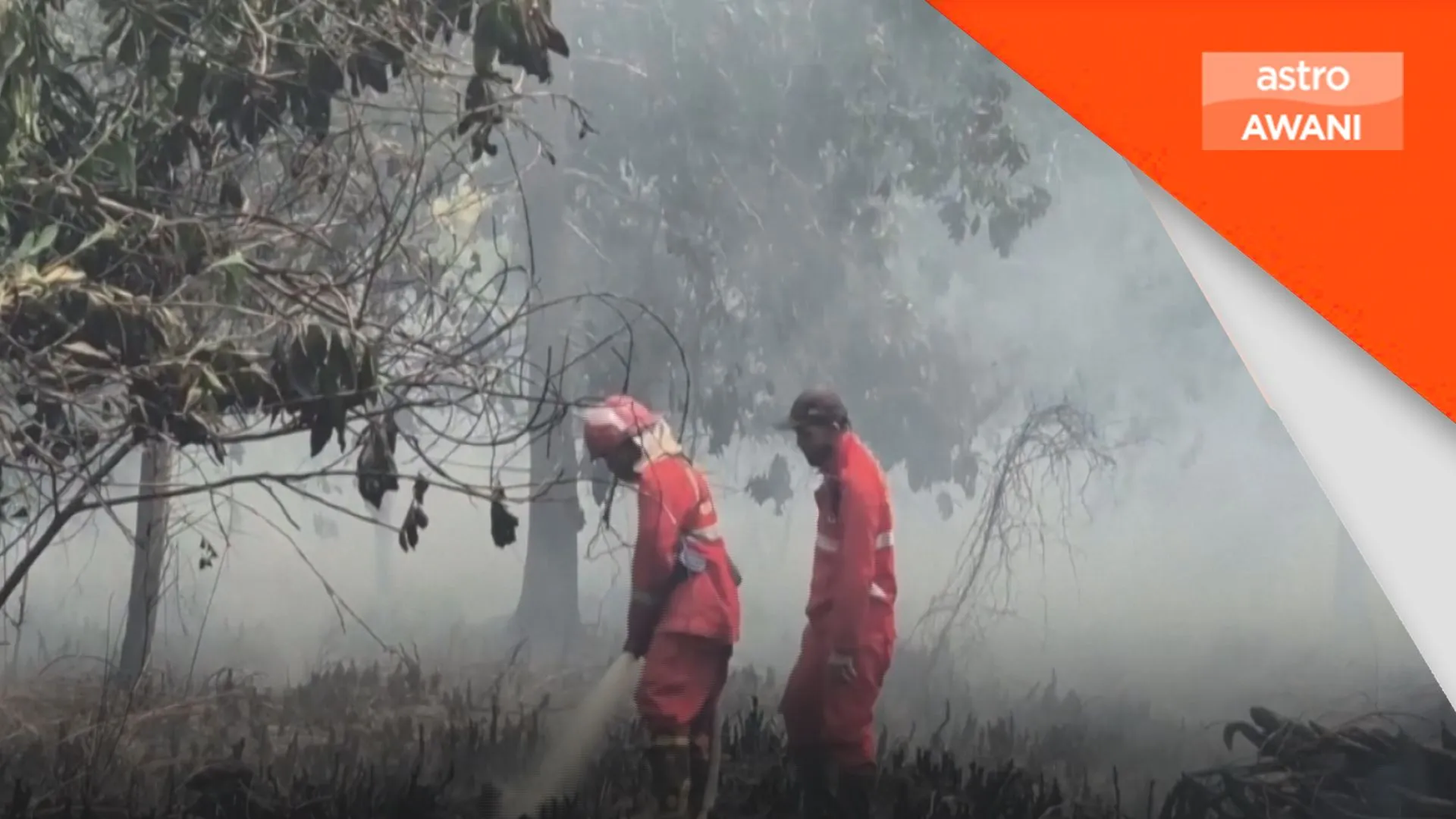 SAM desak Indonesia dedah syarikat terbabit kebakaran hutan