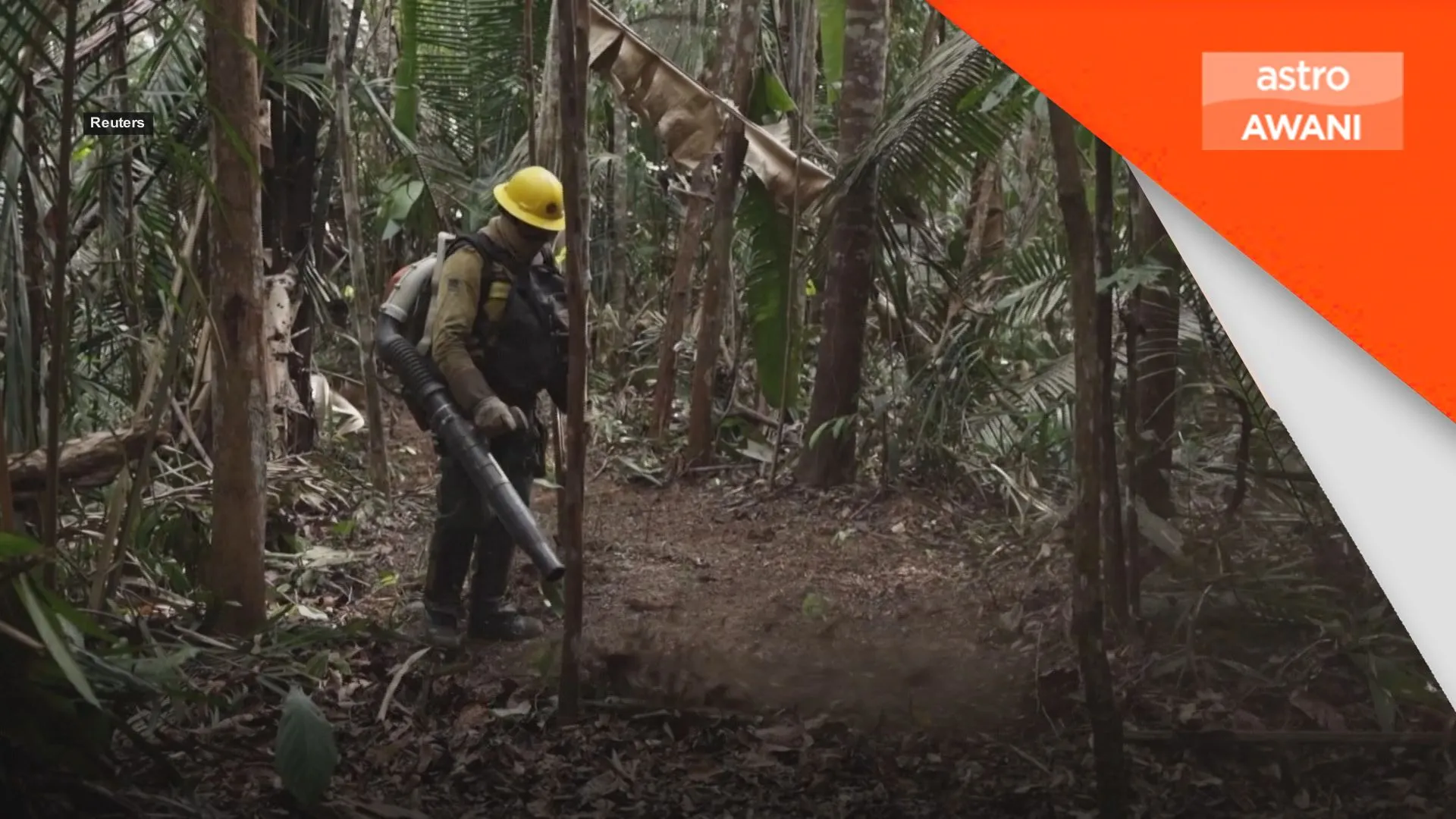 Brazil catat penyahutan amazon terendah sejak 1988
