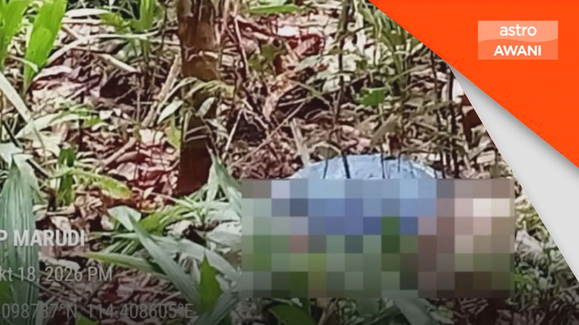 Warga emas hilang sejak Jumaat ditemukan meninggal dunia di Marudi