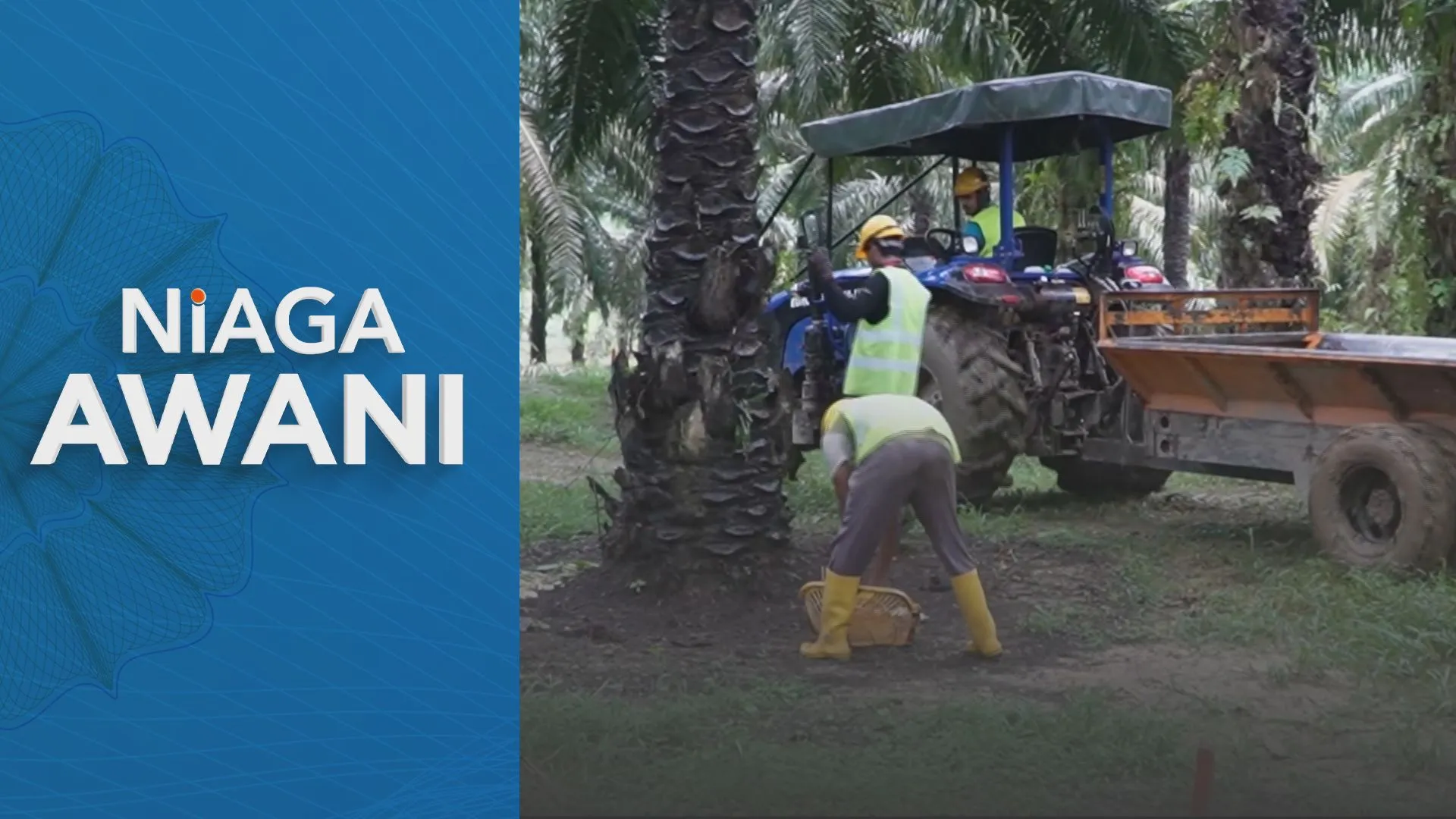 RM300 juta diperuntukkan bagi tingkat produktiviti pekebun kecil